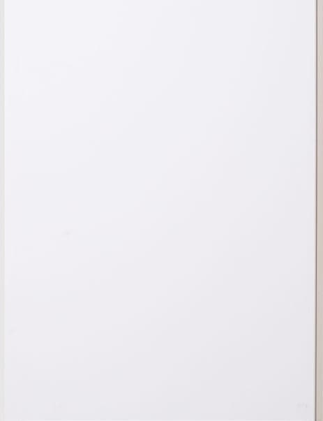 GF-313 White Color Pvc Panel